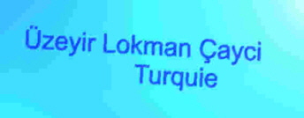 Üzeyir Lokman Çayci, Turquie
